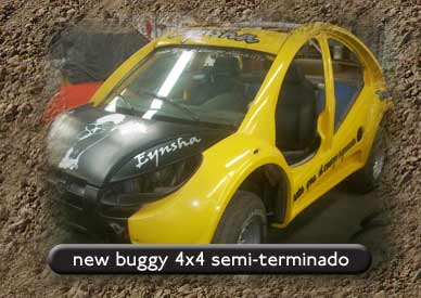 New Buggy