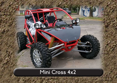 new buggy 4x4